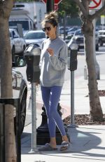 ALESSANDRA AMBROSIO Heading to Yoga Session in Pacific Palisades 10/21/2023