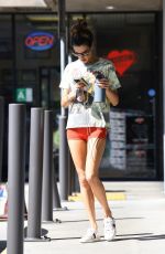 ALESSANDRA AMBROSIO Leaves Pilates Class in Malibu 10/05/2023