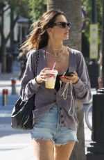 ALESSANDRA AMBROSIO Out Shopping at Third Street Promenade in Santa Monica 10/13/2023