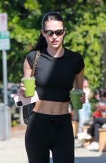 AMELIA HAMLIN Out for Coffee in West Hollywood 10/20/2023