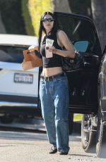 AMELIA HAMLIN Out for Coffee with Her Boyfriend in Los Angeles 10/16/2023