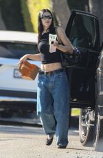 AMELIA HAMLIN Out for Coffee with Her Boyfriend in Los Angeles 10/16/2023