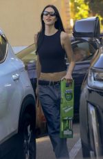 AMELIA HAMLIN Out for Grocery Shopping at Ralphs in Beverly Hills 10/23/2023