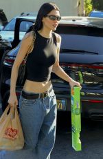 AMELIA HAMLIN Out for Grocery Shopping at Ralphs in Beverly Hills 10/23/2023