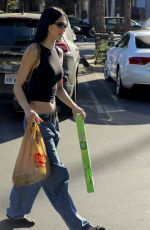 AMELIA HAMLIN Out for Grocery Shopping at Ralphs in Beverly Hills 10/23/2023