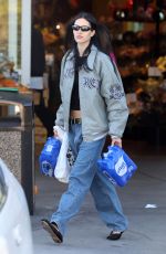 AMELIA HAMLIN Out Shopping in Los Angeles 10/16/2023
