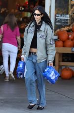 AMELIA HAMLIN Out Shopping in Los Angeles 10/16/2023