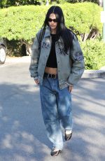 AMELIA HAMLIN Out Shopping in Los Angeles 10/16/2023
