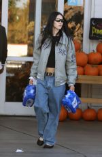 AMELIA HAMLIN Out Shopping in Los Angeles 10/16/2023
