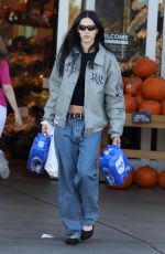 AMELIA HAMLIN Out Shopping in Los Angeles 10/16/2023