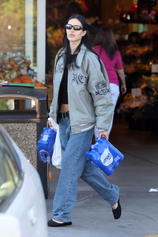 AMELIA HAMLIN Out Shopping in Los Angeles 10/16/2023