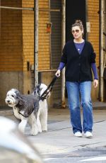 BRIDGET MOYNAHAN Out with Her Dogs in New York 10/24/2023