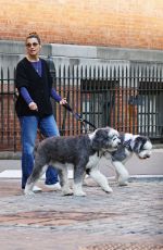 BRIDGET MOYNAHAN Out with Her Dogs in New York 10/24/2023