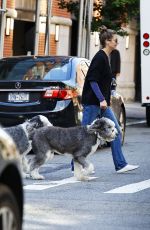 BRIDGET MOYNAHAN Out with Her Dogs in New York 10/24/2023