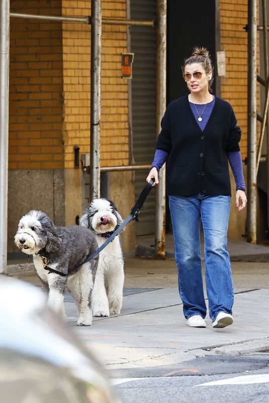 BRIDGET MOYNAHAN Out with Her Dogs in New York 10/24/2023