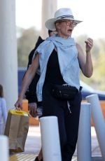 CAMERON DIAZ and Benji Madden Out Shopping for Toys in Santa Barbara 10/28/2023