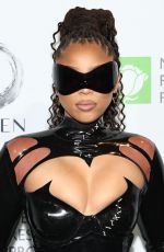 CHLOE BAILEY at New York Restoration Project