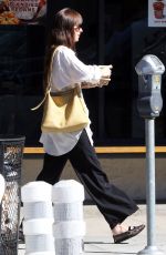 DAKOTA JOHNSON Out for Coffee in Los Angeles 10/22/2023