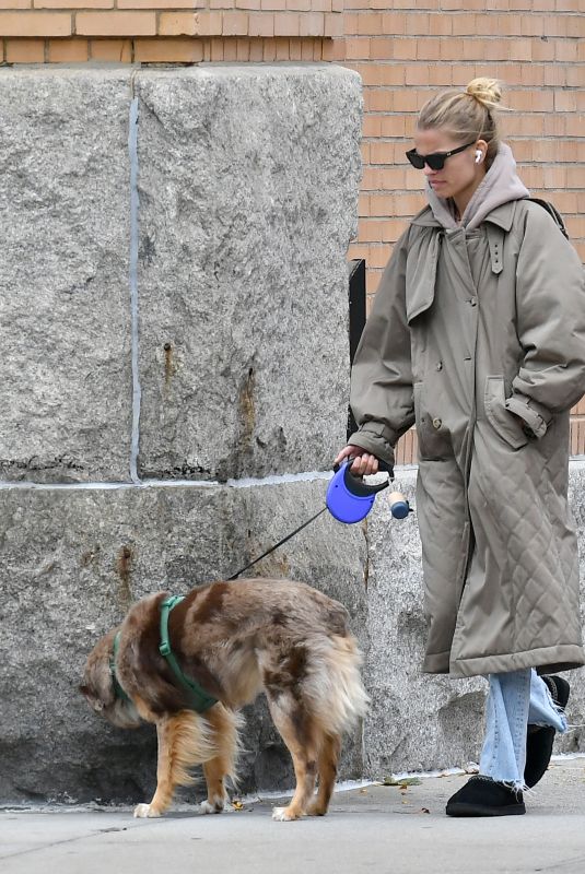 DAPHNE GROENEVELD Out with Her Dog in New York 10/22/2023