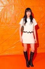 DEVON ROSS at Louis Vuitton Womenswear Spring/summer 2024 Show in Paris 10/02/2023