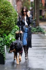 EMILY RATAJKOWSKI Out Walking Her Dog in New York 10/20/2023