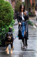 EMILY RATAJKOWSKI Out Walking Her Dog in New York 10/20/2023