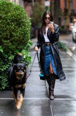 EMILY RATAJKOWSKI Out Walking Her Dog in New York 10/20/2023