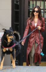 EMILY RATAJKOWSKI Out with Her Dog in New York 10/22/2023
