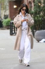 EMILY RATAJKOWSKI Walks Her Dog Colombo in New York 10/18/2023