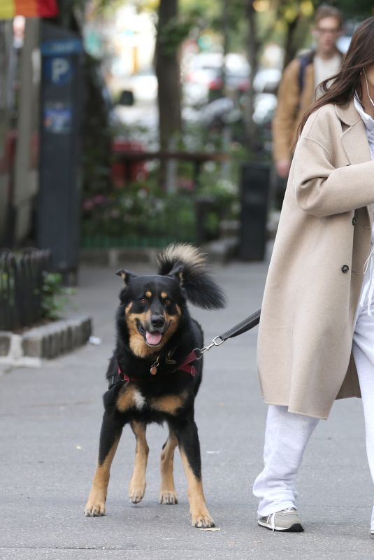 EMILY RATAJKOWSKI Walks Her Dog Colombo in New York 10/18/2023