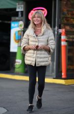 GOLDIE HAWN at a Gas Station in Los Angeles 10/26/2023