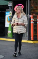 GOLDIE HAWN at a Gas Station in Los Angeles 10/26/2023