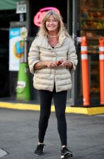 GOLDIE HAWN at a Gas Station in Los Angeles 10/26/2023