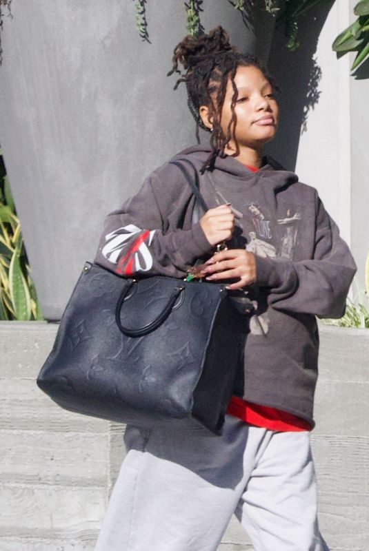 HALLE BAILEY Heading to a Meeting in Los Angeles 10/16/2023