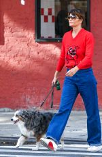 HELENA CHRISTENSEN Out on a Dog Walk in New York 10/15/2023
