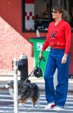 HELENA CHRISTENSEN Out on a Dog Walk in New York 10/15/2023