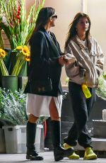IRINA SHAYK and EMILY RATAJKOWSKI Out for Dinner in New York 10/21/2023