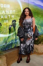 JADEE THIRLWALL at Global Launch of BBC Studios Planet Earth III in London 10/12/2023
