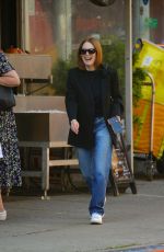JULIANNE MOORE Out and About in New York 10/26/2023