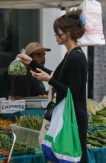 KATHERINE SCHWARZENEGGER Shopping at Farmer