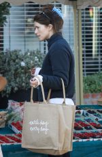 KATHERINE SCHWARZENEGGER Shopping at Farmers Market in Pacific Palisades 10/15/2023