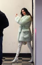 KENDALL JENNER Out for Dinner at Sushi Park in Los Angeles 10/27/2023