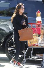 KYLE RICHARDS Out Shopping in Beverly Hills 10/11/2023