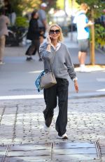 NAOMI WATTS Out and About in New York 10/25/2023