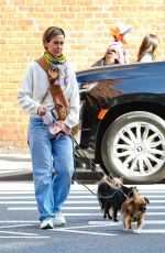 SARAH PAULSON Out with Her Dogs in New York 10/13/2023