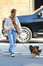 SARAH PAULSON Out with Her Dogs in New York 10/13/2023