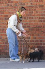 SARAH PAULSON Out with Her Dogs in New York 10/13/2023