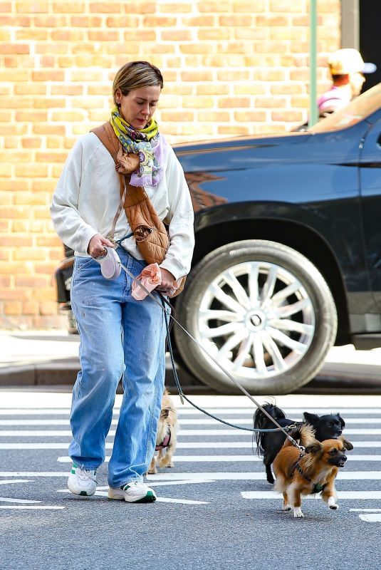 SARAH PAULSON Out with Her Dogs in New York 10/13/2023