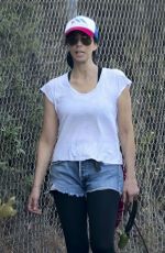 SARAH SILVERMAN and Rory Albanese Out With Their Dogs in Los Feliz 10/17/2023