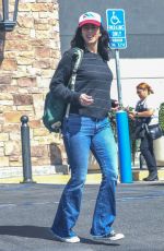 SARAH SILVERMAN Out Shopping with a Friend at Gelson